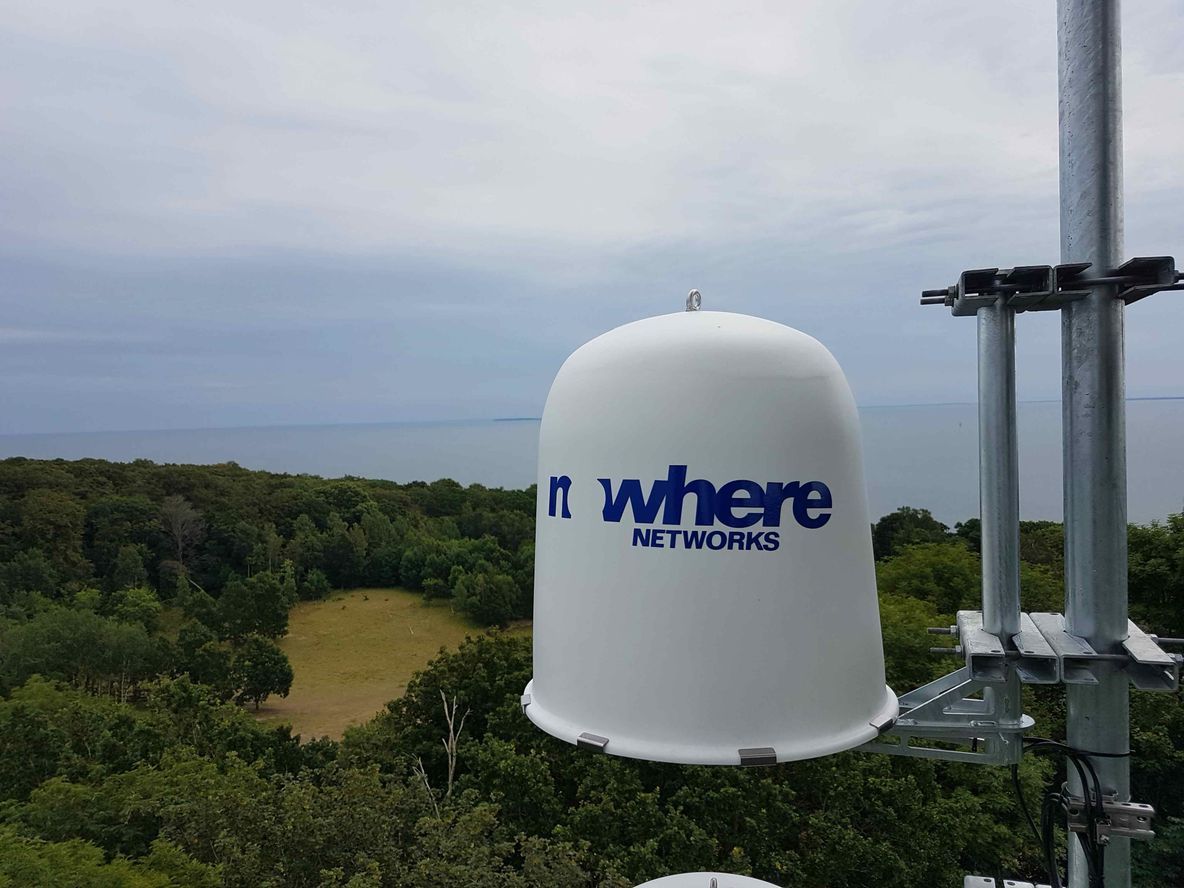 A cute panda munching on bamboo
