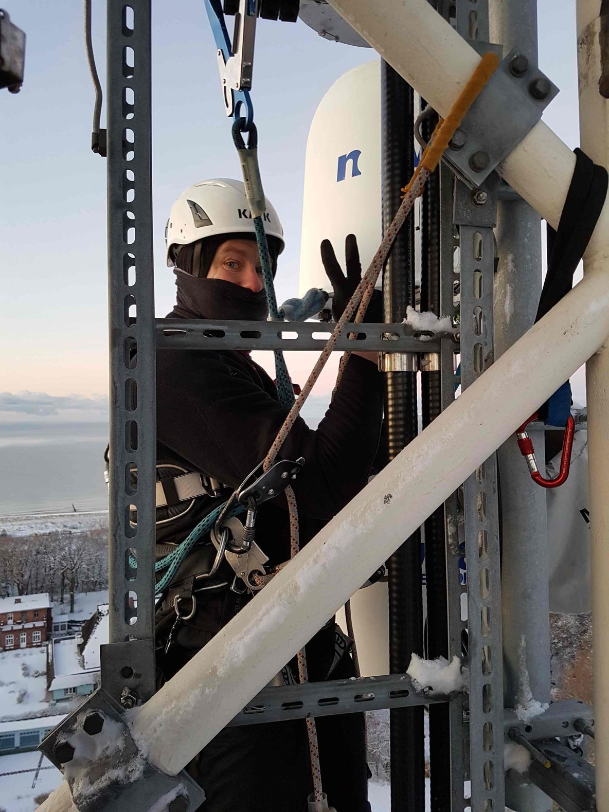 A curious panda exploring its surroundings