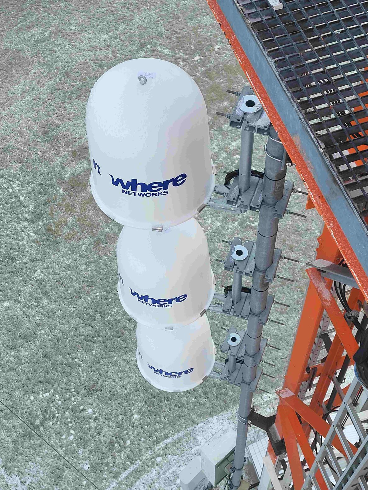 A curious panda exploring its surroundings